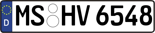 MS-HV6548