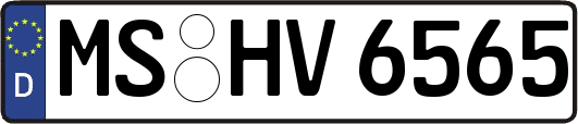 MS-HV6565