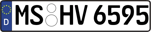 MS-HV6595