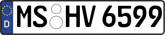 MS-HV6599