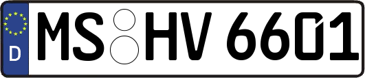 MS-HV6601