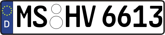 MS-HV6613