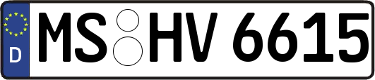 MS-HV6615