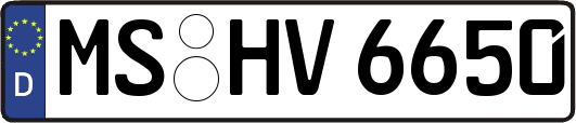 MS-HV6650