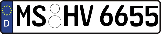 MS-HV6655