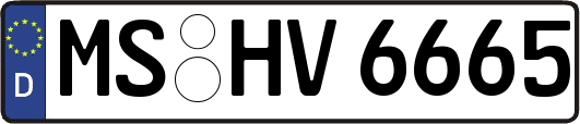 MS-HV6665