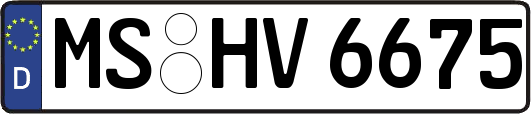 MS-HV6675
