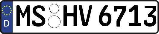 MS-HV6713