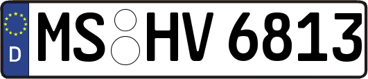 MS-HV6813