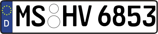 MS-HV6853