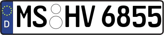 MS-HV6855