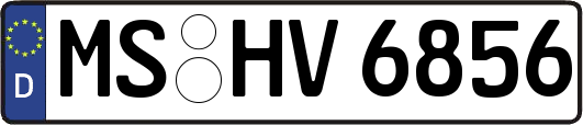 MS-HV6856