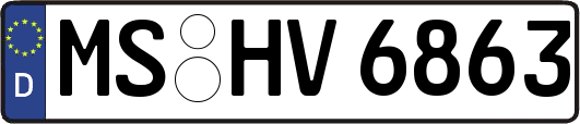 MS-HV6863