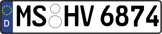 MS-HV6874