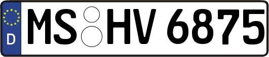 MS-HV6875