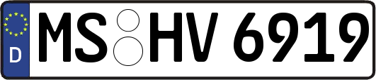 MS-HV6919