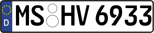 MS-HV6933