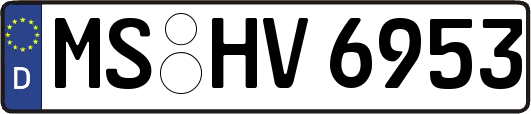 MS-HV6953