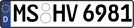 MS-HV6981