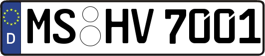 MS-HV7001
