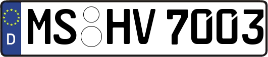 MS-HV7003