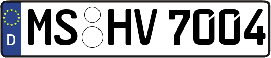 MS-HV7004