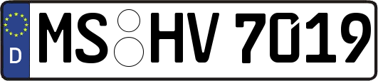 MS-HV7019