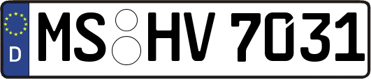 MS-HV7031