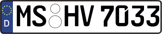 MS-HV7033
