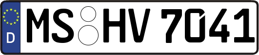 MS-HV7041