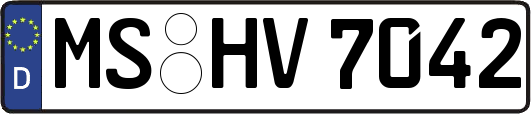 MS-HV7042