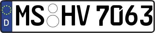 MS-HV7063
