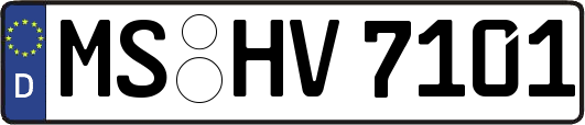 MS-HV7101