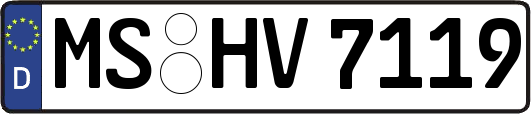 MS-HV7119