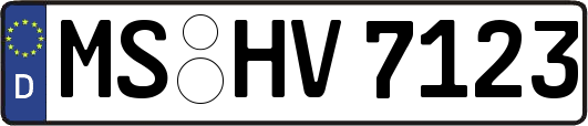 MS-HV7123