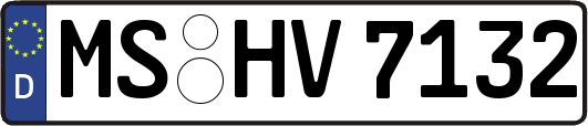 MS-HV7132