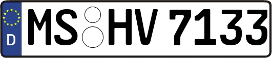 MS-HV7133