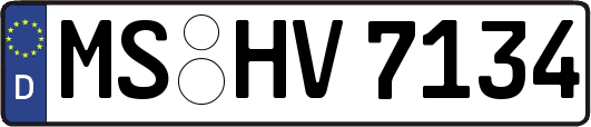 MS-HV7134