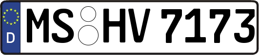 MS-HV7173