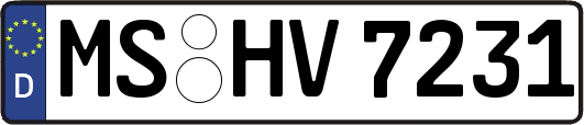 MS-HV7231