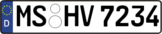 MS-HV7234