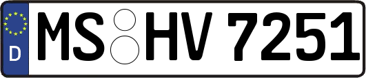 MS-HV7251