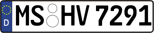 MS-HV7291