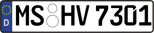 MS-HV7301