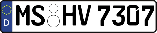 MS-HV7307
