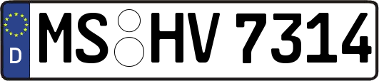 MS-HV7314