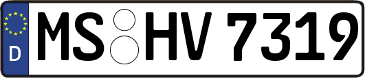 MS-HV7319