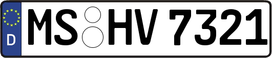 MS-HV7321