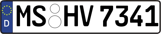 MS-HV7341