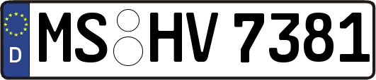 MS-HV7381